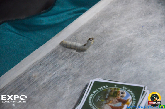 Expo Londrina 2026 em Londrina - 19/04/2026 - Foto 82