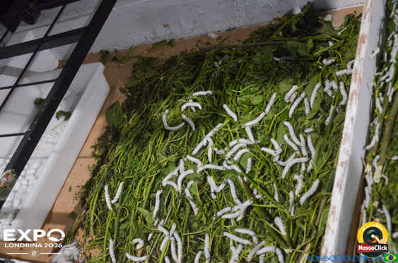 Expo Londrina 2026 em Londrina - 19/04/2026 - Foto 85