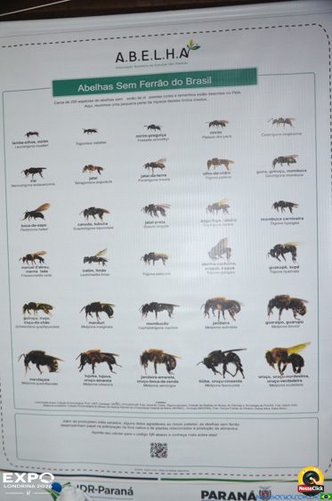 Expo Londrina 2026 em Londrina - 19/04/2026 - Foto 89