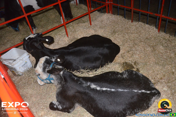 Expo Londrina 2026 em Londrina - 19/04/2026 - Foto 109