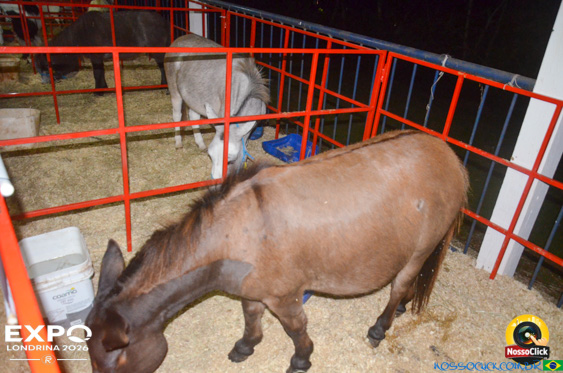Expo Londrina 2026 em Londrina - 19/04/2026 - Foto 110
