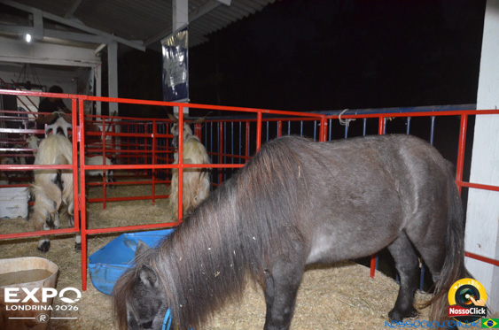 Expo Londrina 2026 em Londrina - 19/04/2026 - Foto 111