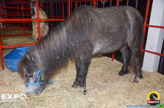 Expo Londrina 2026 em Londrina - 19/04/2026 - Foto 112
