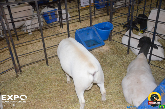 Expo Londrina 2026 em Londrina - 19/04/2026 - Foto 127
