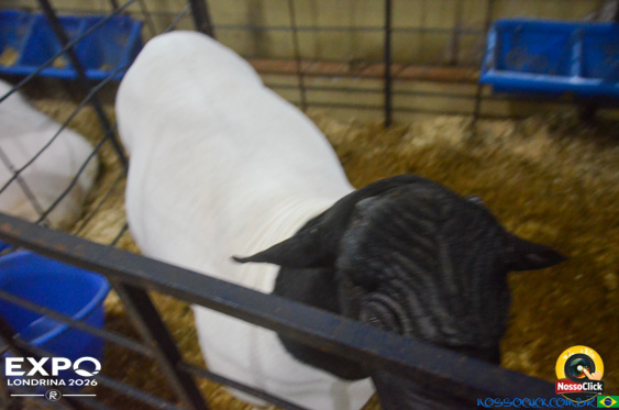 Expo Londrina 2026 em Londrina - 19/04/2026 - Foto 129