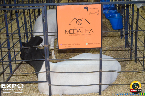 Expo Londrina 2026 em Londrina - 19/04/2026 - Foto 132
