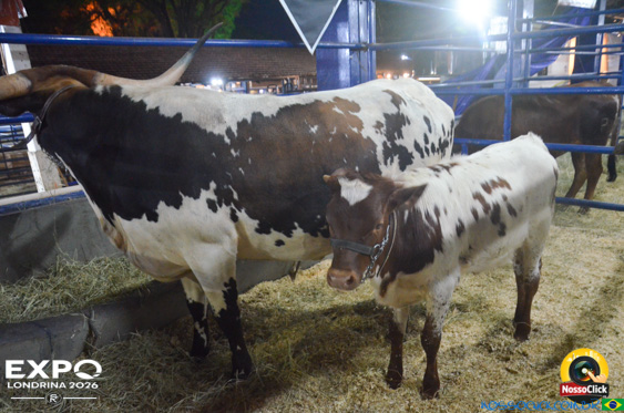 Expo Londrina 2026 em Londrina - 19/04/2026 - Foto 182