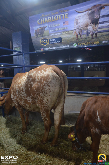 Expo Londrina 2026 em Londrina - 19/04/2026 - Foto 188