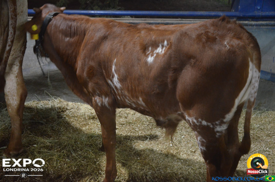 Expo Londrina 2026 em Londrina - 19/04/2026 - Foto 189
