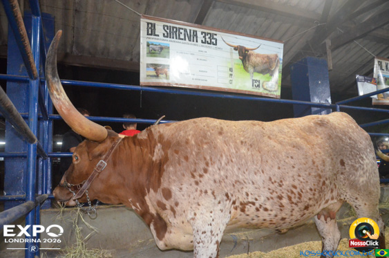 Expo Londrina 2026 em Londrina - 19/04/2026 - Foto 194