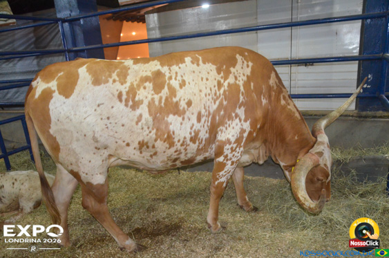 Expo Londrina 2026 em Londrina - 19/04/2026 - Foto 196