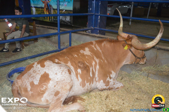 Expo Londrina 2026 em Londrina - 19/04/2026 - Foto 200