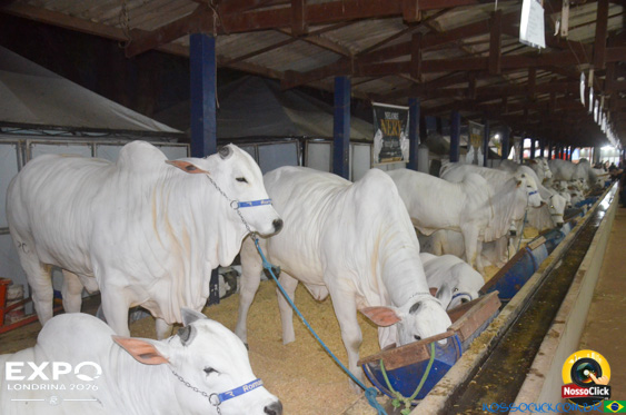 Expo Londrina 2026 em Londrina - 19/04/2026 - Foto 203