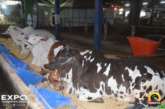 Expo Londrina 2026 em Londrina - 19/04/2026 - Foto 206