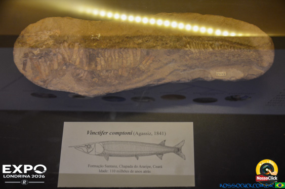 Expo Londrina 2026 em Londrina - 19/04/2026 - Foto 283