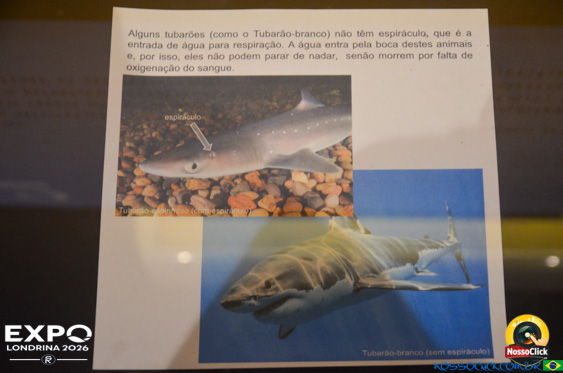 Expo Londrina 2026 em Londrina - 19/04/2026 - Foto 288