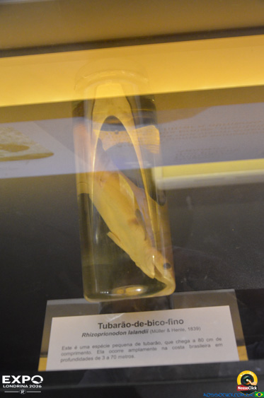 Expo Londrina 2026 em Londrina - 19/04/2026 - Foto 289