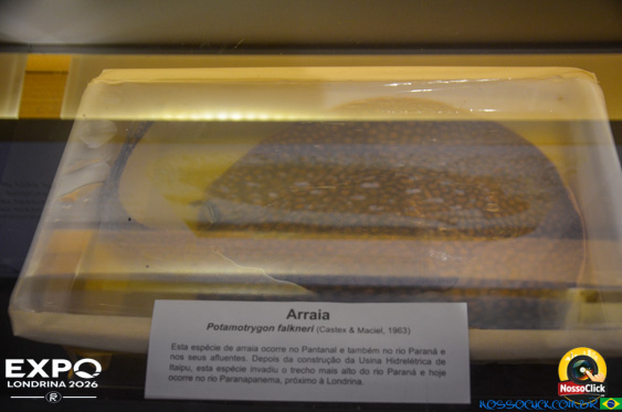 Expo Londrina 2026 em Londrina - 19/04/2026 - Foto 290