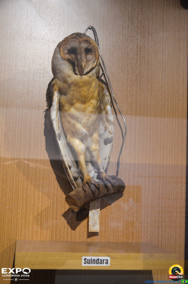 Expo Londrina 2026 em Londrina - 19/04/2026 - Foto 291