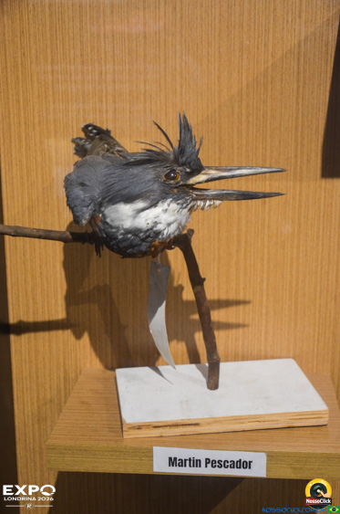 Expo Londrina 2026 em Londrina - 19/04/2026 - Foto 292