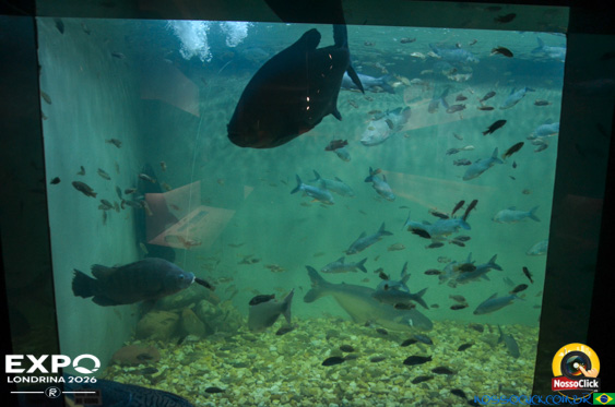 Expo Londrina 2026 em Londrina - 19/04/2026 - Foto 295