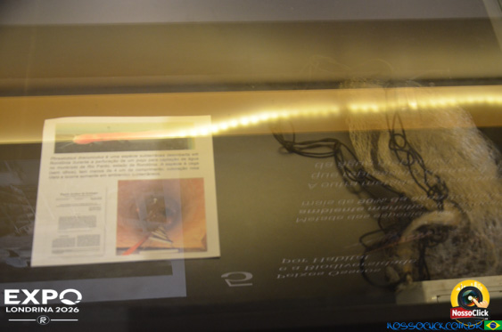 Expo Londrina 2026 em Londrina - 19/04/2026 - Foto 345