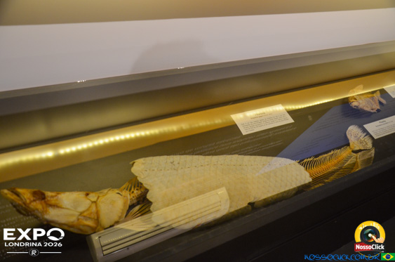 Expo Londrina 2026 em Londrina - 19/04/2026 - Foto 346