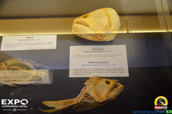 Expo Londrina 2026 em Londrina - 19/04/2026 - Foto 350