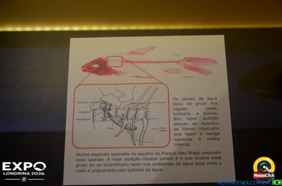 Expo Londrina 2026 em Londrina - 19/04/2026 - Foto 351