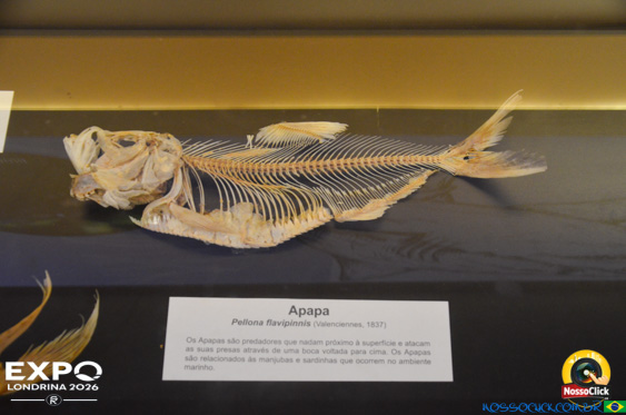 Expo Londrina 2026 em Londrina - 19/04/2026 - Foto 353