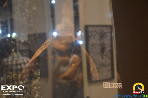 Expo Londrina 2026 em Londrina - 19/04/2026 - Foto 376