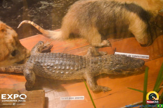 Expo Londrina 2026 em Londrina - 19/04/2026 - Foto 378