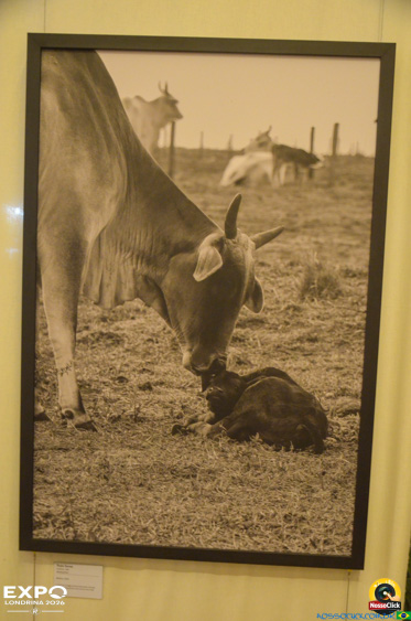 Expo Londrina 2026 em Londrina - 19/04/2026 - Foto 379